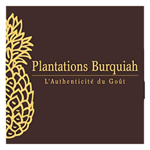 burquiah-coul.jpg